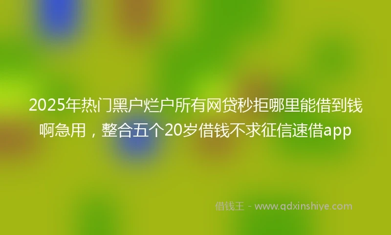 2025年热门黑户烂户所有网贷秒拒哪里能借到钱啊急用，整合五个20岁借钱不求征信速借app