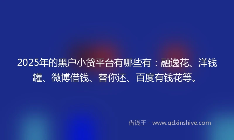 2025年的黑户小贷平台有哪些有：融逸花、洋钱罐、微博借钱、替你还、百度有钱花等。