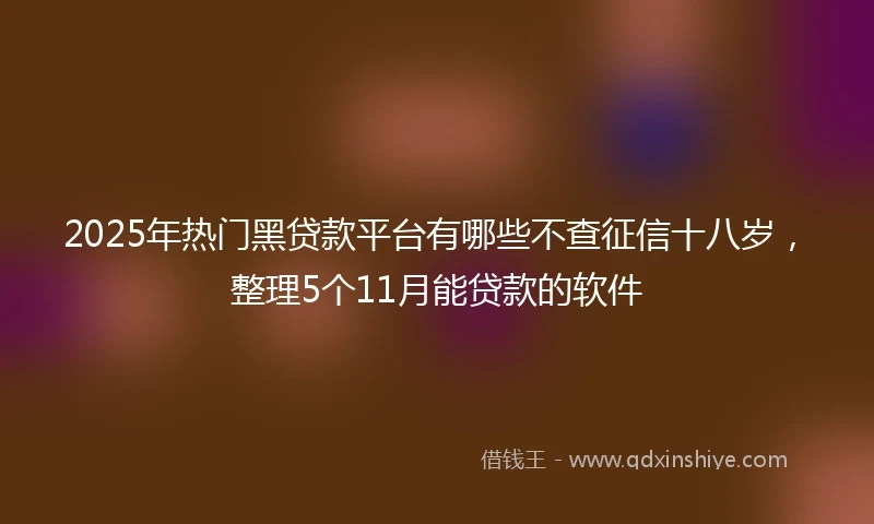 2025年热门黑贷款平台有哪些不查征信十八岁，整理5个11月能贷款的软件