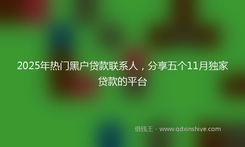 2025年热门黑户贷款联系人，分享五个11月独家贷款的平台