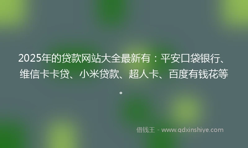 2025年的贷款网站大全最新有：平安口袋银行、维信卡卡贷、小米贷款、超人卡、百度有钱花等。