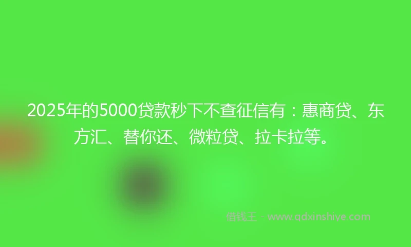 2025年的5000贷款秒下不查征信有:惠商贷、东方汇、替你还、微粒贷、拉卡拉等。
