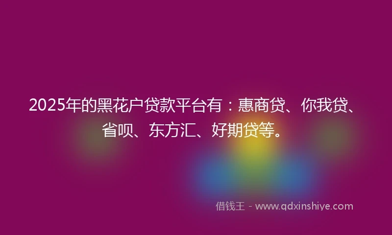 2025年的黑花户贷款平台有：惠商贷、你我贷、省呗、东方汇、好期贷等。
