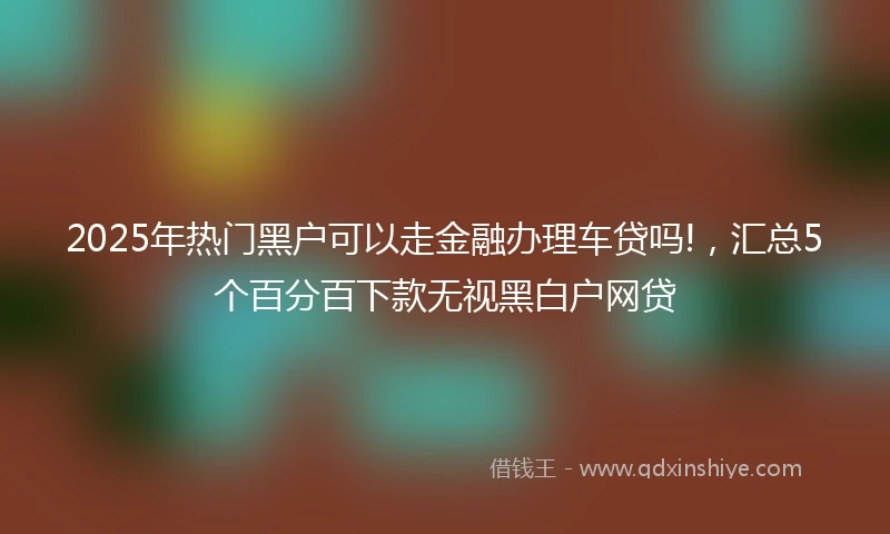 2025年热门黑户可以走金融办理车贷吗!，汇总5个百分百下款无视黑白户网贷