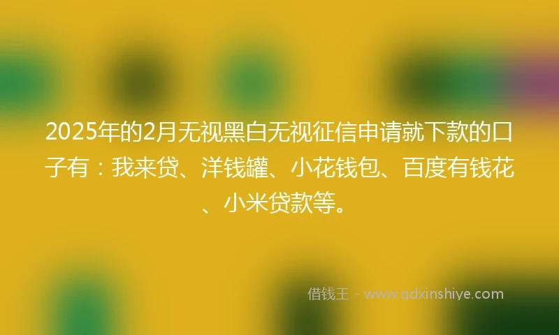 2025年的2月无视黑白无视征信申请就下款的口子有：我来贷、洋钱罐、小花钱包、百度有钱花、小米贷款等。