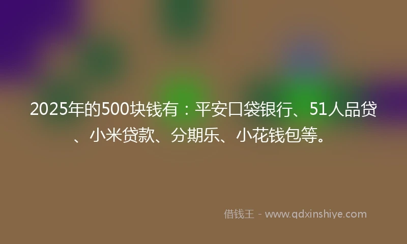2025年的500块钱有：平安口袋银行、51人品贷、小米贷款、分期乐、小花钱包等。