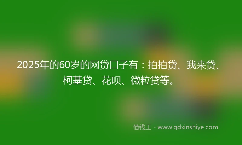 2025年的60岁的网贷口子有：拍拍贷、我来贷、柯基贷、花呗、微粒贷等。