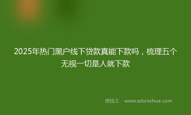 2025年热门黑户线下贷款真能下款吗，梳理五个无视一切是人就下款