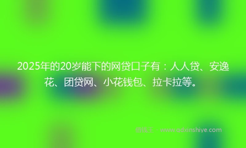 2025年的20岁能下的网贷口子有：人人贷、安逸花、团贷网、小花钱包、拉卡拉等。