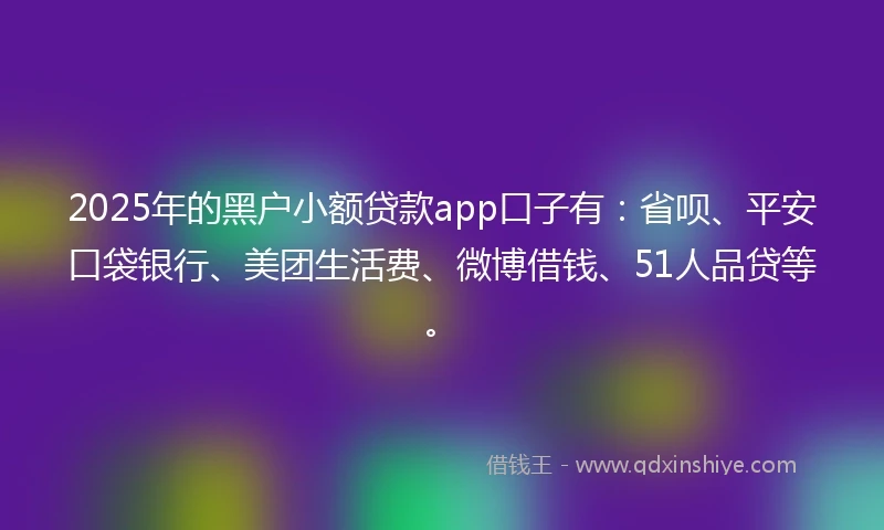 2025年的黑户小额贷款app口子有：省呗、平安口袋银行、美团生活费、微博借钱、51人品贷等。