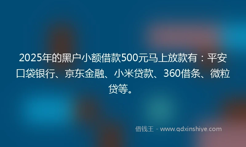 2025年的黑户小额借款500元马上放款有：平安口袋银行、京东金融、小米贷款、360借条、微粒贷等。
