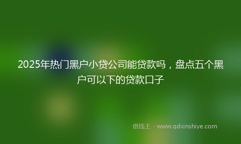 2025年热门黑户小贷公司能贷款吗，盘点五个黑户可以下的贷款口子