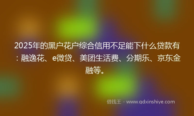 2025年的黑户花户综合信用不足能下什么贷款有：融逸花、e微贷、美团生活费、分期乐、京东金融等。