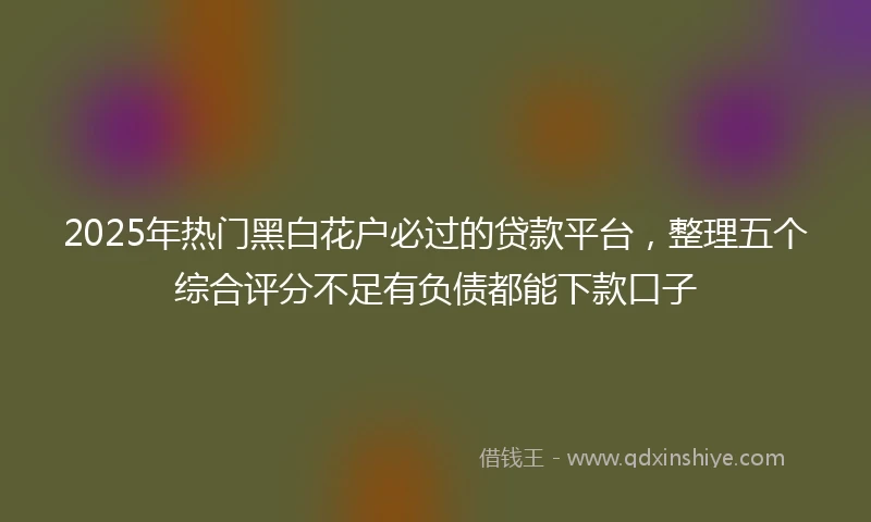 2025年热门黑白花户必过的贷款平台，整理五个综合评分不足有负债都能下款口子