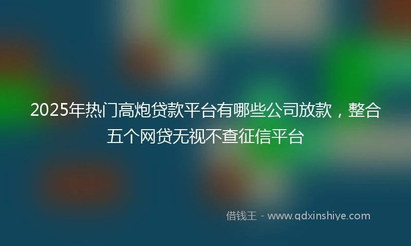 2025年热门高炮贷款平台有哪些公司放款，整合五个网贷无视不查征信平台