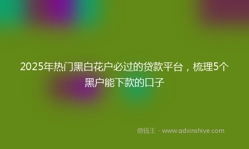 2025年热门黑白花户必过的贷款平台，梳理5个黑户能下款的口子