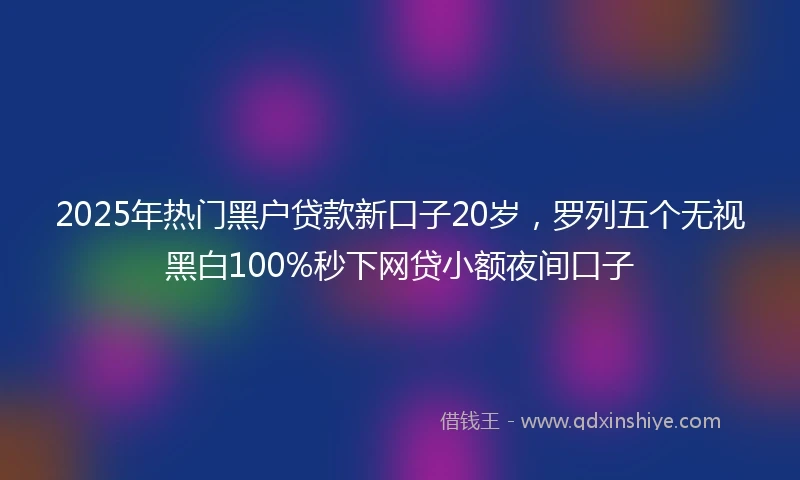 2025年热门黑户贷款新口子20岁，罗列五个无视黑白100%秒下网贷小额夜间口子