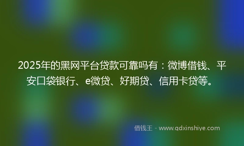 2025年的黑网平台贷款可靠吗有：微博借钱、平安口袋银行、e微贷、好期贷、信用卡贷等。