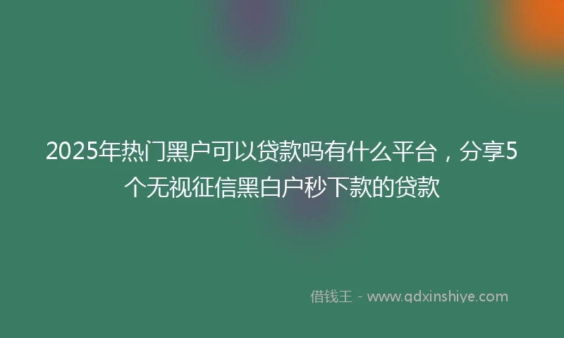 2025年热门黑户可以贷款吗有什么平台，分享5个无视征信黑白户秒下款的贷款