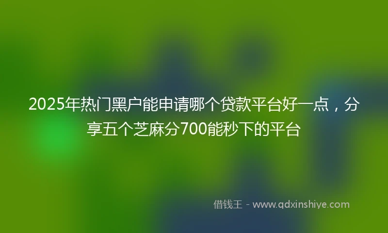 2025年热门黑户能申请哪个贷款平台好一点，分享五个芝麻分700能秒下的平台