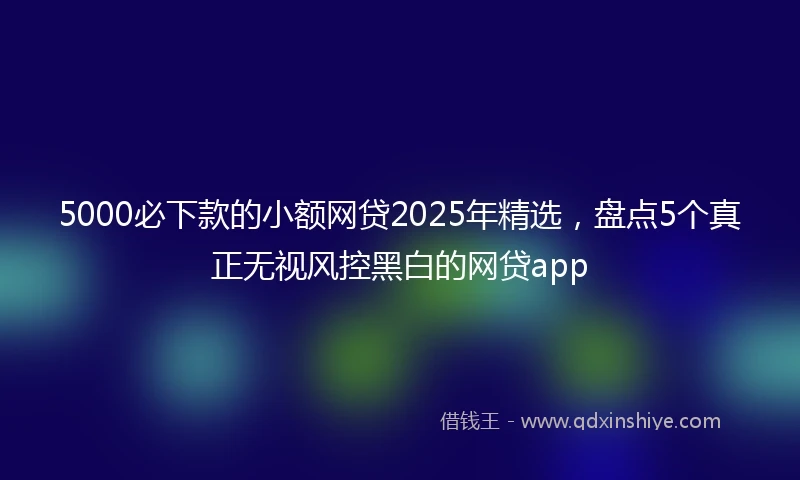 5000必下款的小额网贷2025年精选，盘点5个真正无视风控黑白的网贷app