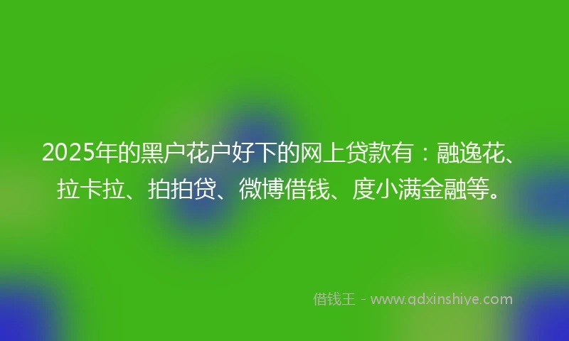 2025年的黑户花户好下的网上贷款有：融逸花、拉卡拉、拍拍贷、微博借钱、度小满金融等。