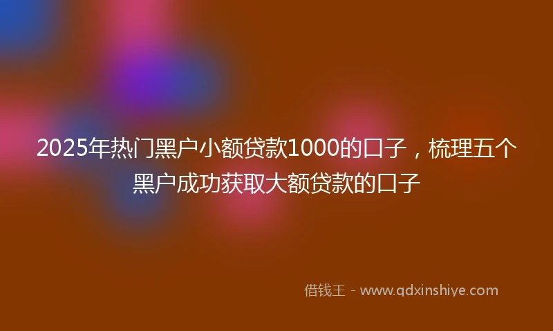 2025年热门黑户小额贷款1000的口子，梳理五个黑户成功获取大额贷款的口子