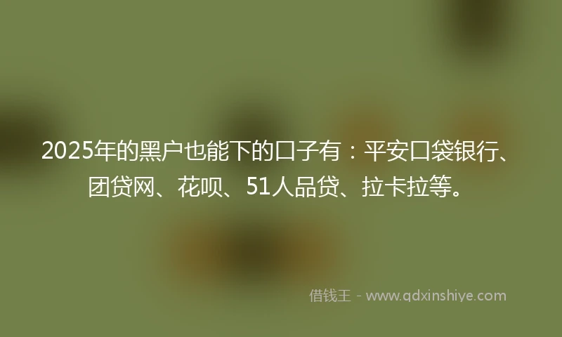 2025年的黑户也能下的口子有：平安口袋银行、团贷网、花呗、51人品贷、拉卡拉等。