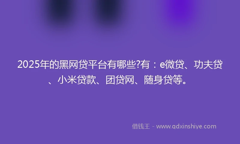 2025年的黑网贷平台有哪些?有：e微贷、功夫贷、小米贷款、团贷网、随身贷等。