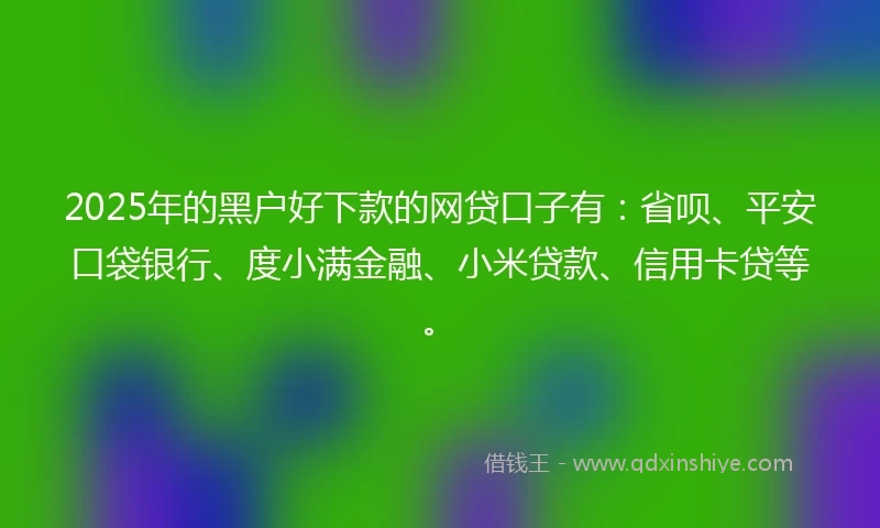 2025年的黑户好下款的网贷口子有：省呗、平安口袋银行、度小满金融、小米贷款、信用卡贷等。