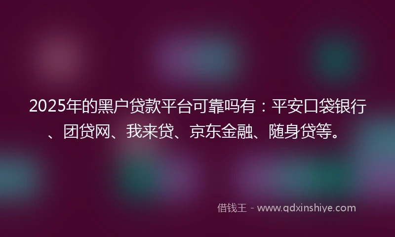 2025年的黑户贷款平台可靠吗有：平安口袋银行、团贷网、我来贷、京东金融、随身贷等。