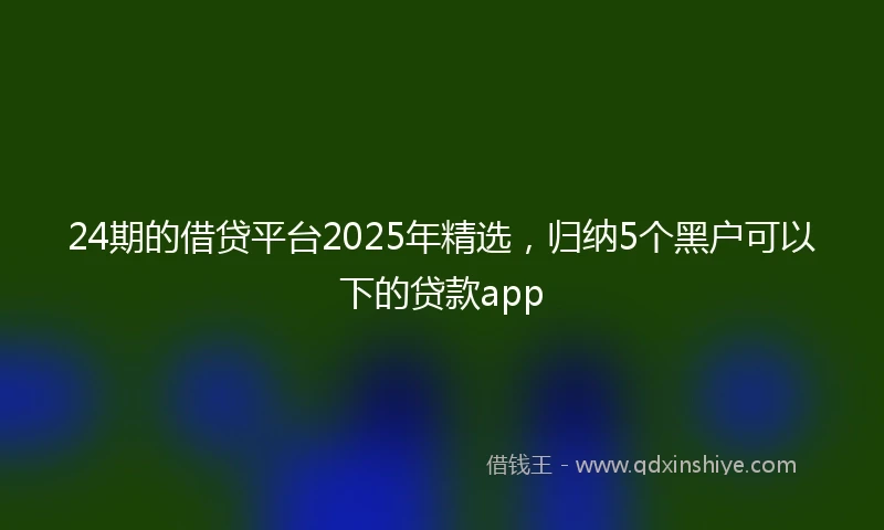 24期的借贷平台2025年精选，归纳5个黑户可以下的贷款app