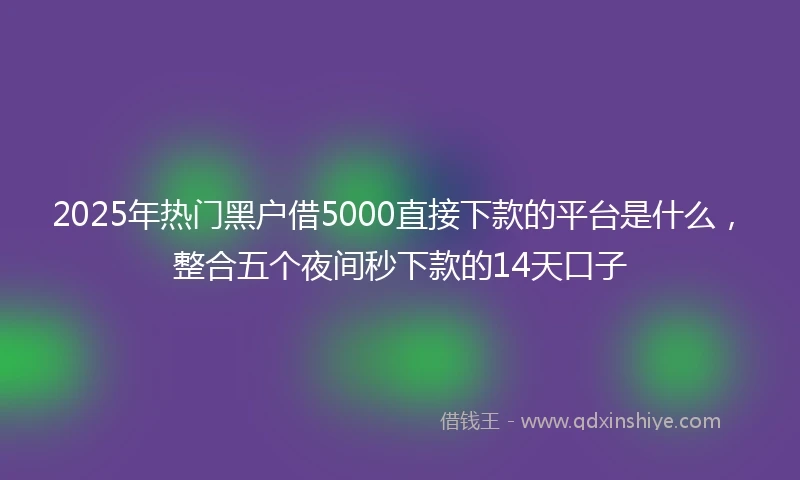 2025年热门黑户借5000直接下款的平台是什么，整合五个夜间秒下款的14天口子