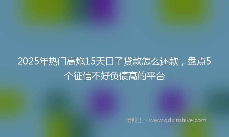 2025年热门高炮15天口子贷款怎么还款，盘点5个征信不好负债高的平台