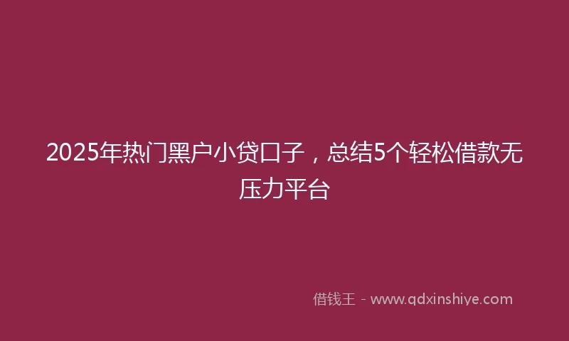 2025年热门黑户小贷口子，总结5个轻松借款无压力平台