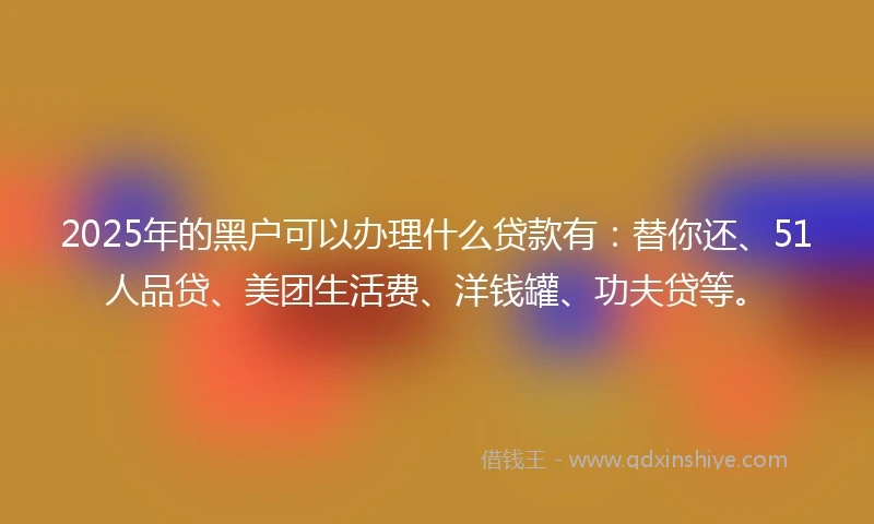 2025年的黑户可以办理什么贷款有：替你还、51人品贷、美团生活费、洋钱罐、功夫贷等。