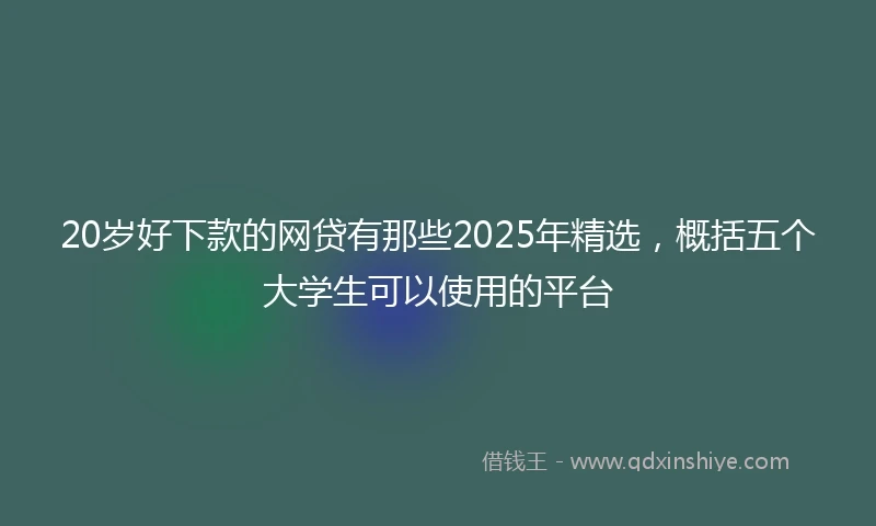20岁好下款的网贷有那些2025年精选，概括五个大学生可以使用的平台