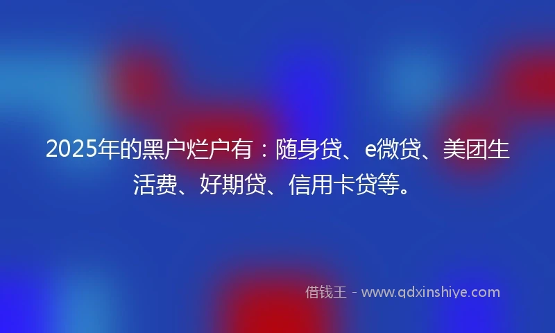 2025年的黑户烂户有：随身贷、e微贷、美团生活费、好期贷、信用卡贷等。