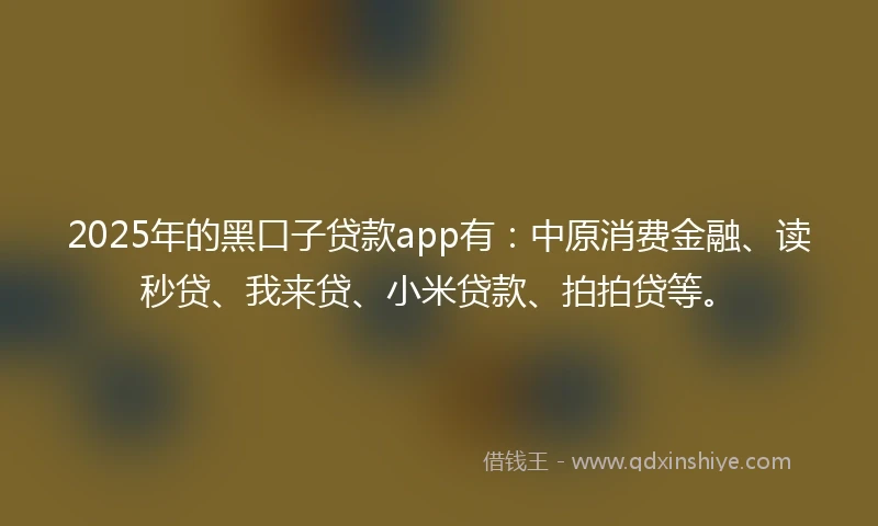 2025年的黑口子贷款app有:中原消费金融、读秒贷、我来贷、小米贷款、拍拍贷等。