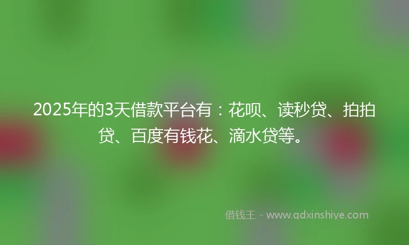 2025年的3天借款平台有：花呗、读秒贷、拍拍贷、百度有钱花、滴水贷等。