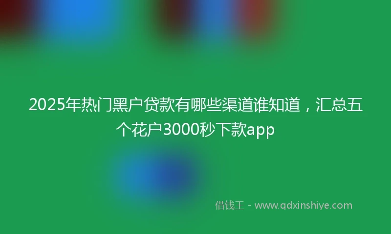 2025年热门黑户贷款有哪些渠道谁知道，汇总五个花户3000秒下款app