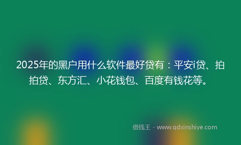 2025年的黑户用什么软件最好贷有：平安i贷、拍拍贷、东方汇、小花钱包、百度有钱花等。