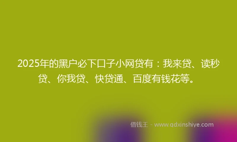 2025年的黑户必下口子小网贷有：我来贷、读秒贷、你我贷、快贷通、百度有钱花等。