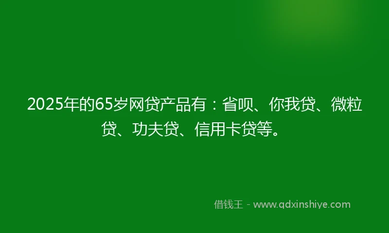 2025年的65岁网贷产品有：省呗、你我贷、微粒贷、功夫贷、信用卡贷等。