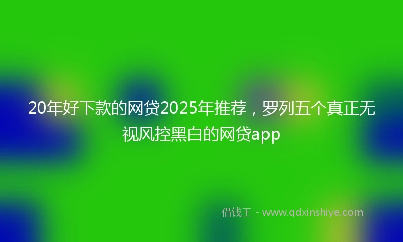 20年好下款的网贷2025年推荐，罗列五个真正无视风控黑白的网贷app
