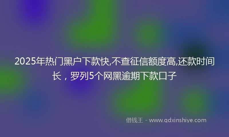 2025年热门黑户下款快,不查征信额度高,还款时间长，罗列5个网黑逾期下款口子