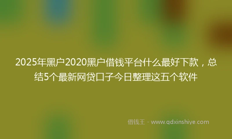 2025年黑户2020黑户借钱平台什么最好下款，总结5个最新网贷口子今日整理这五个软件