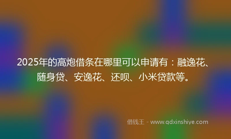 2025年的高炮借条在哪里可以申请有：融逸花、随身贷、安逸花、还呗、小米贷款等。