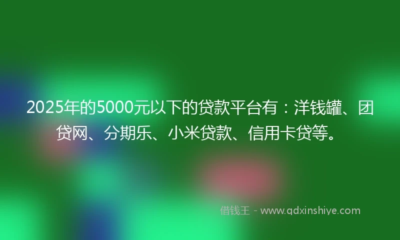 2025年的5000元以下的贷款平台有：洋钱罐、团贷网、分期乐、小米贷款、信用卡贷等。