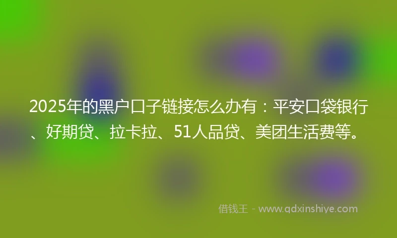 2025年的黑户口子链接怎么办有：平安口袋银行、好期贷、拉卡拉、51人品贷、美团生活费等。
